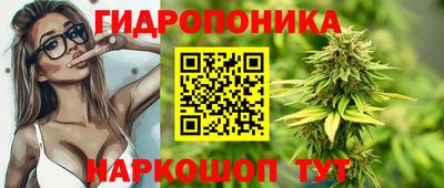 ECSTASY Обь